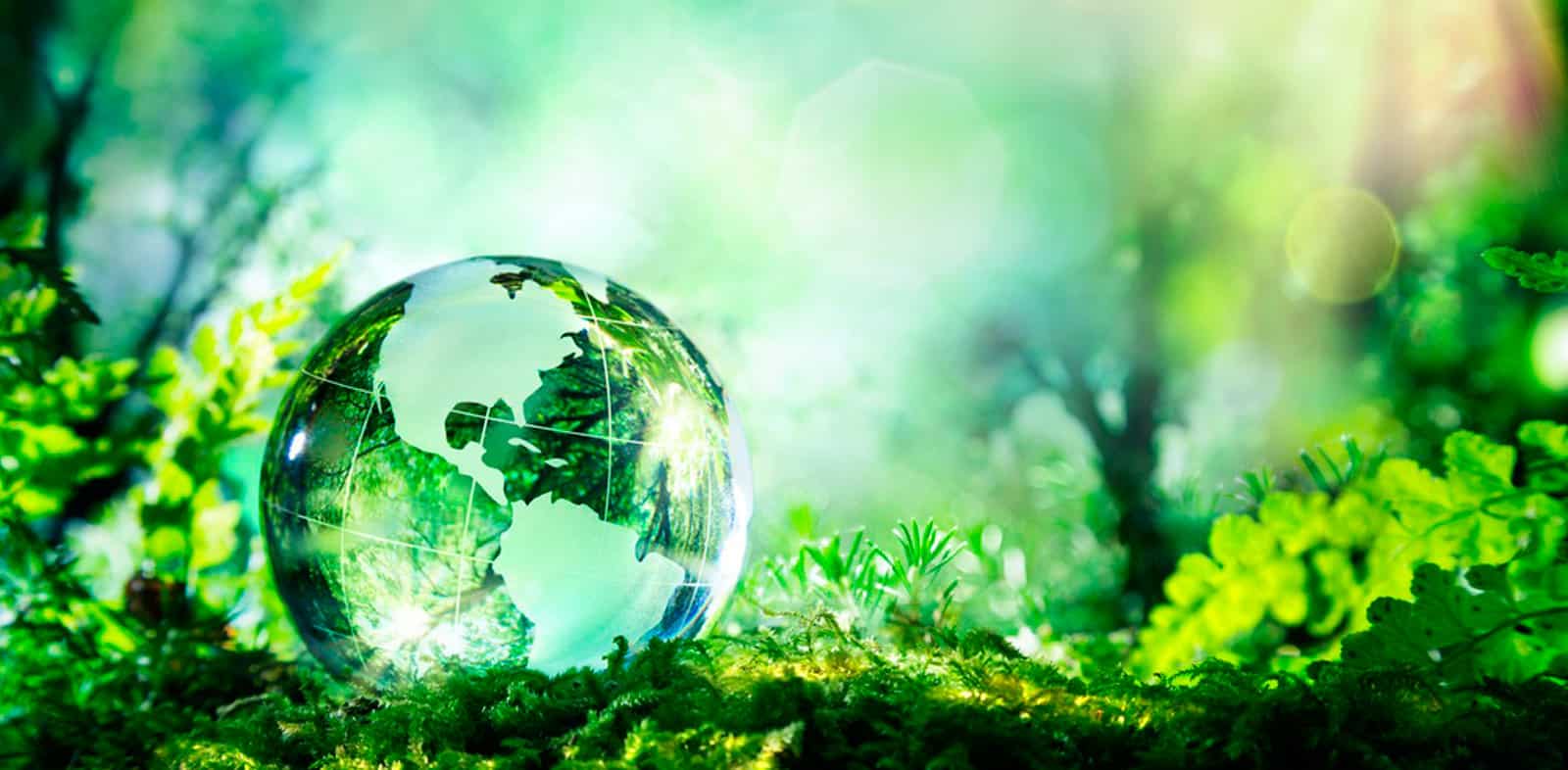 sustentabilidade